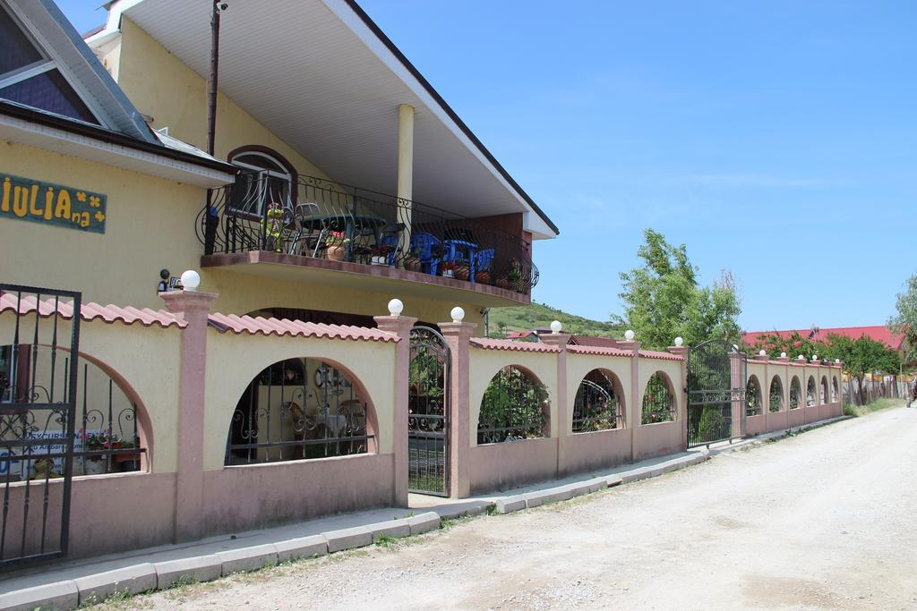 Pensiunea Delta D.M.Y. Mahmudia Kültér fotó